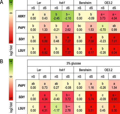 fbs (hexokinase)|Fasting Blood Sugar: Screening Test for Diabetes .